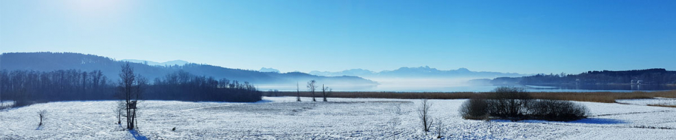 Winter Bundle