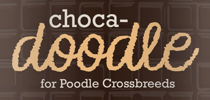 Choca-Doodle